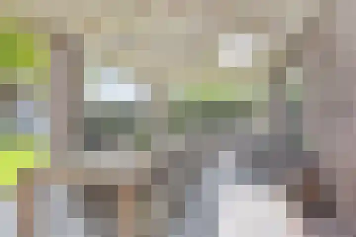 Den Eik 16 Westerbeek thumbnail 19