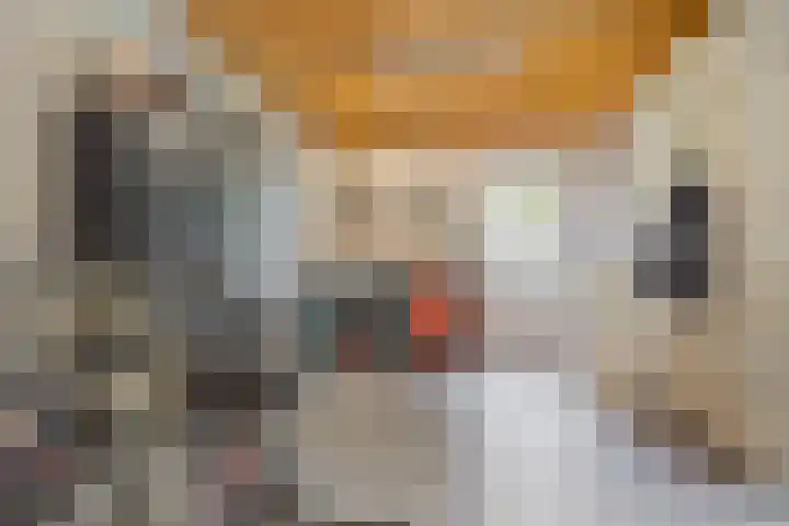 Den Eik 16 Westerbeek thumbnail 24