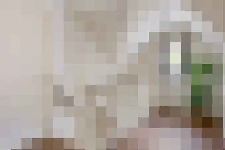 Den Eik 16 Westerbeek thumbnail 25