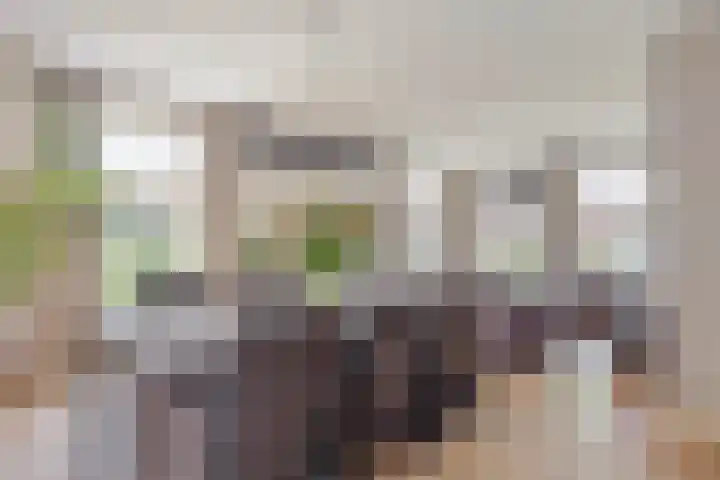 Den Eik 16 Westerbeek foto 3