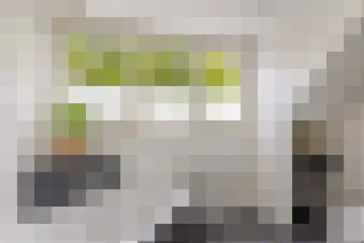 Den Eik 16 Westerbeek thumbnail 30