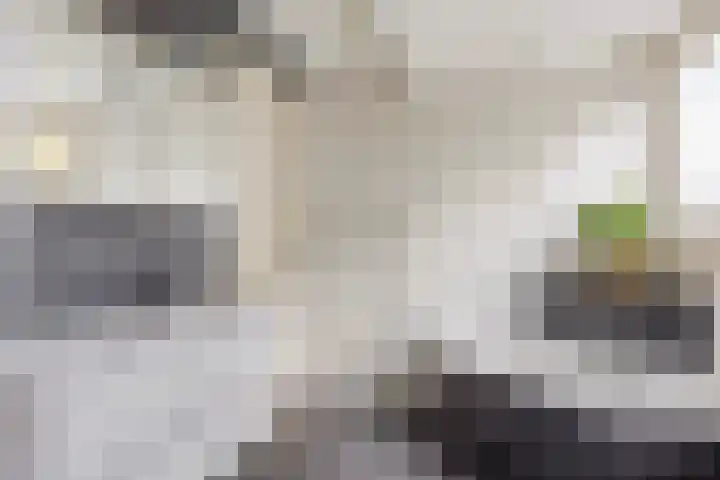 Den Eik 16 Westerbeek thumbnail 32