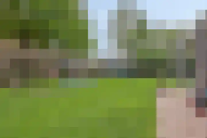 Den Eik 16 Westerbeek thumbnail 40