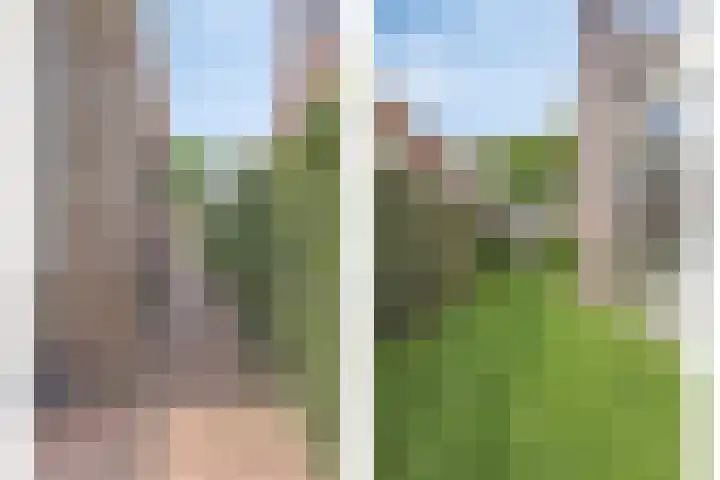 Den Eik 16 Westerbeek thumbnail 42