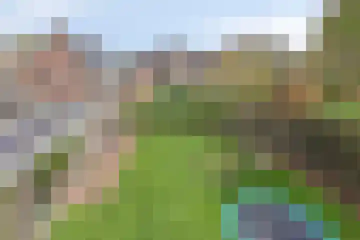 Den Eik 16 Westerbeek thumbnail 46
