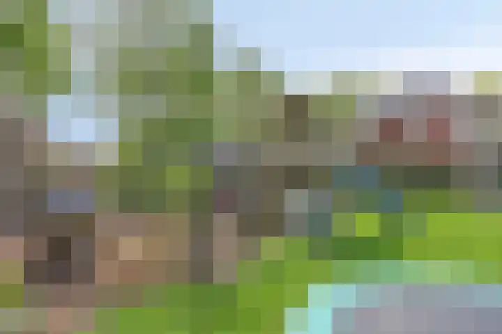 Den Eik 16 Westerbeek thumbnail 47