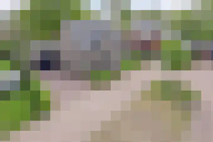 Den Eik 16 Westerbeek thumbnail 49