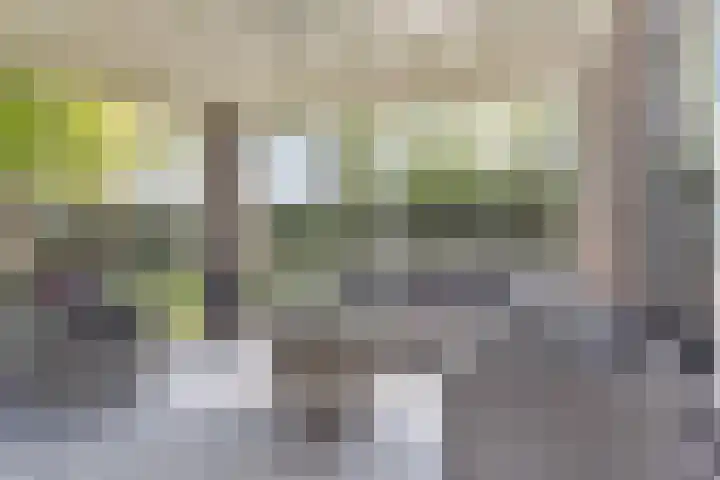Den Eik 16 Westerbeek thumbnail 5