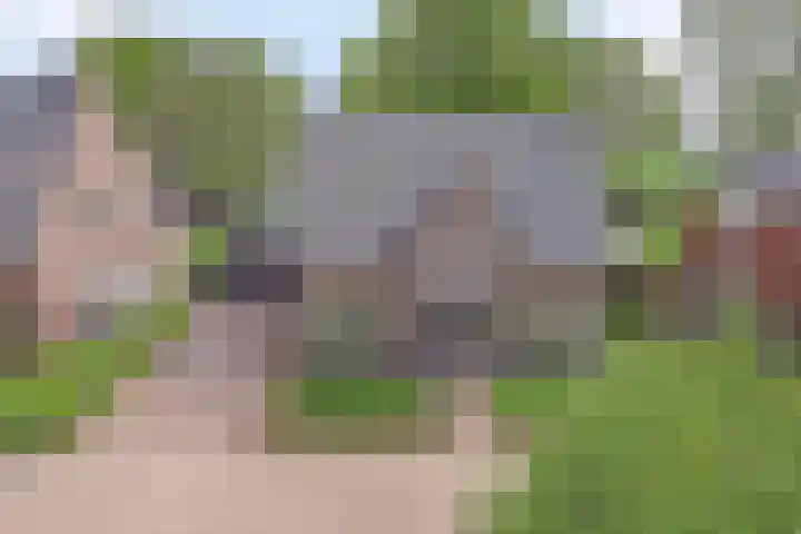 Den Eik 16 Westerbeek thumbnail 50