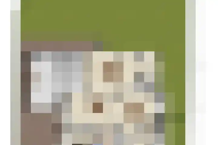 Den Eik 16 Westerbeek thumbnail 54
