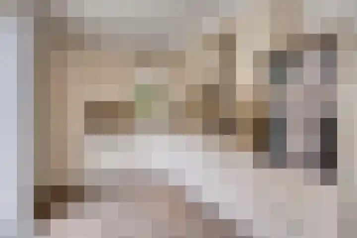 den Ekker 5 Reusel thumbnail 10