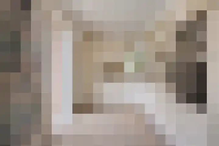 den Ekker 5 Reusel thumbnail 11