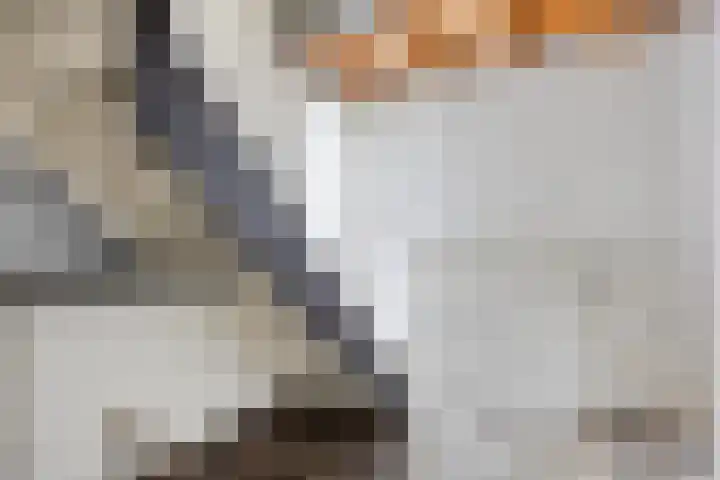 den Ekker 5 Reusel thumbnail 16