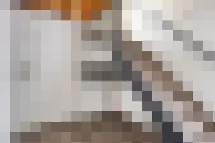 den Ekker 5 Reusel thumbnail 17
