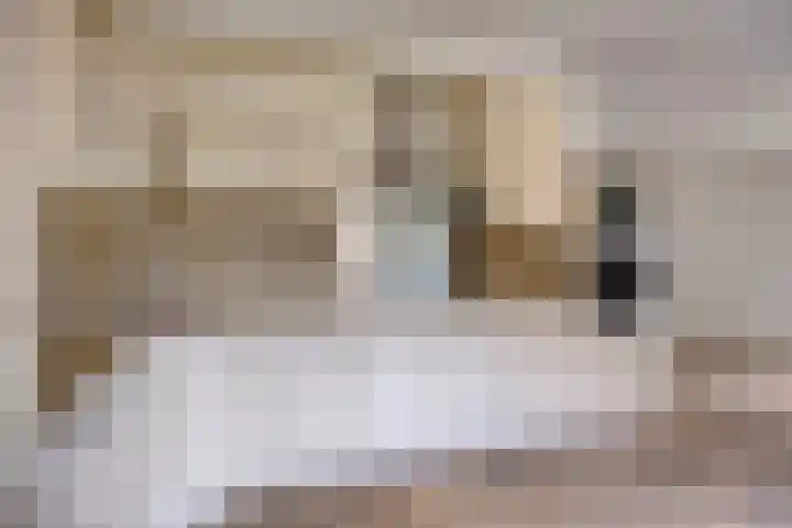 den Ekker 5 Reusel foto 3