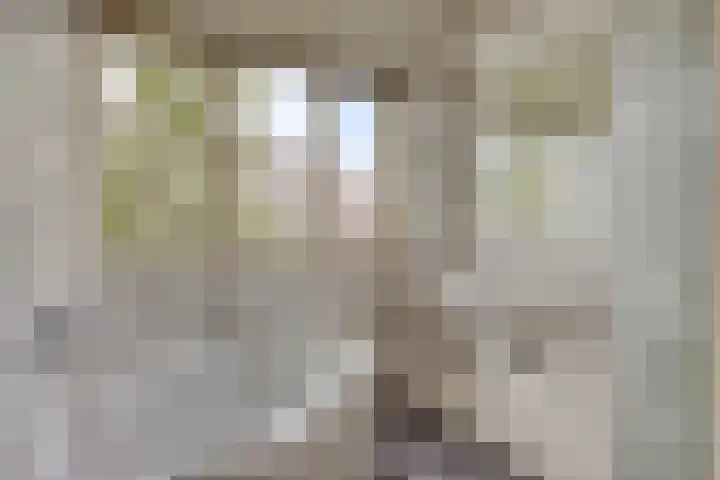 den Ekker 5 Reusel thumbnail 30
