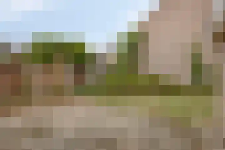 den Ekker 5 Reusel thumbnail 32