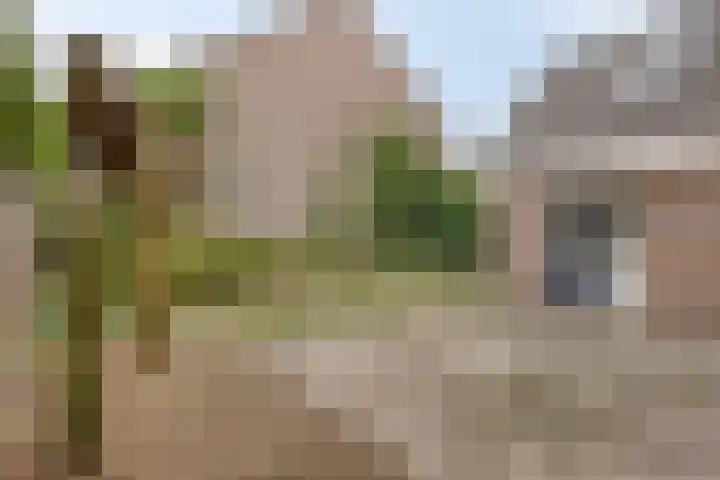 den Ekker 5 Reusel thumbnail 33