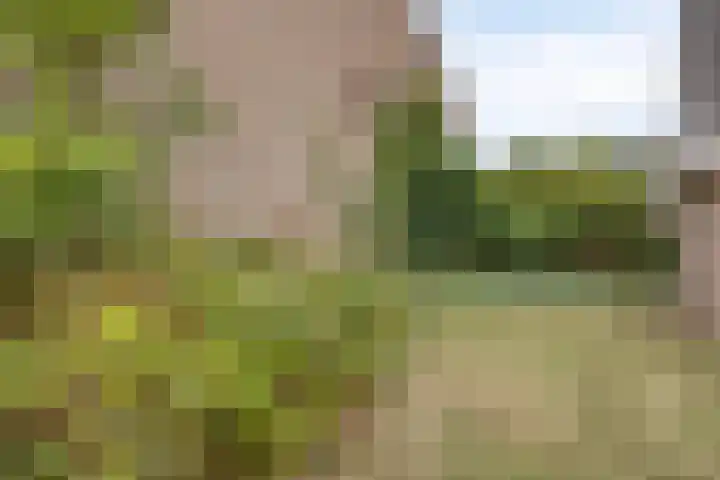 den Ekker 5 Reusel thumbnail 34