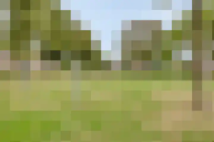 den Ekker 5 Reusel thumbnail 38