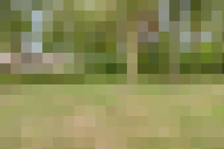 den Ekker 5 Reusel thumbnail 39