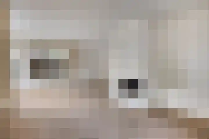 den Ekker 5 Reusel thumbnail 8