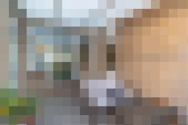 den Haak 5 Overloon thumbnail 14
