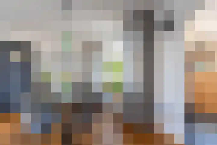 den Haak 5 Overloon foto 2