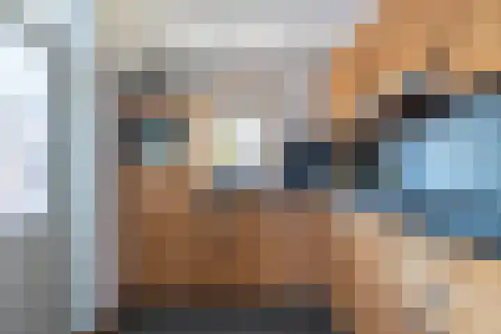 den Haak 5 Overloon thumbnail 26