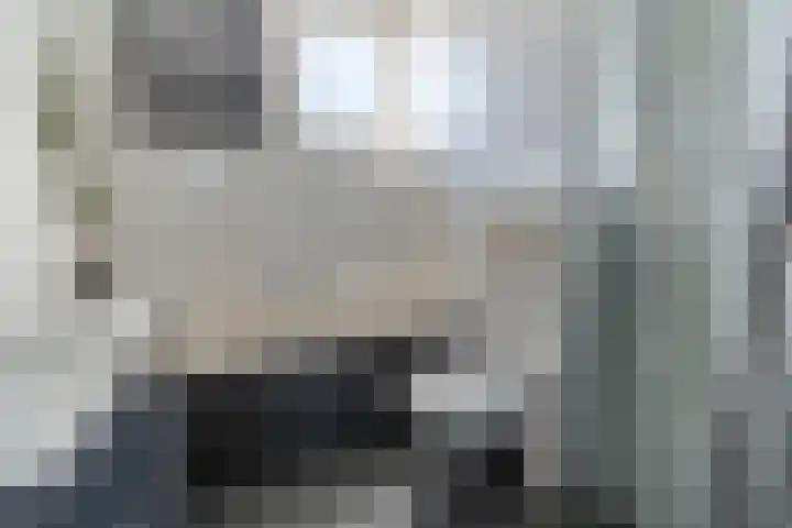 den Haak 5 Overloon thumbnail 40