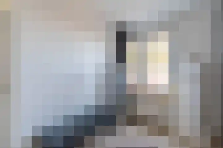 den Haak 5 Overloon thumbnail 46