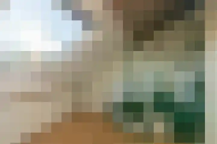 den Haak 5 Overloon thumbnail 52