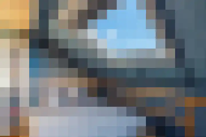 den Haak 5 Overloon thumbnail 53