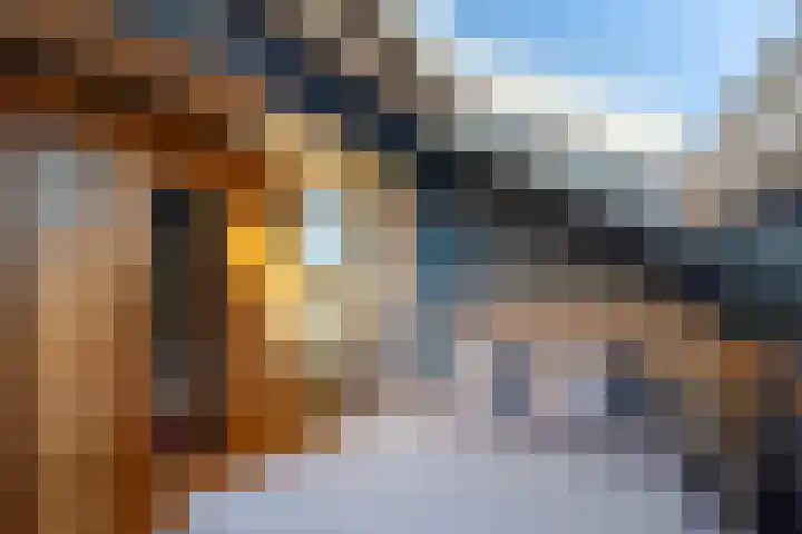 den Haak 5 Overloon thumbnail 54