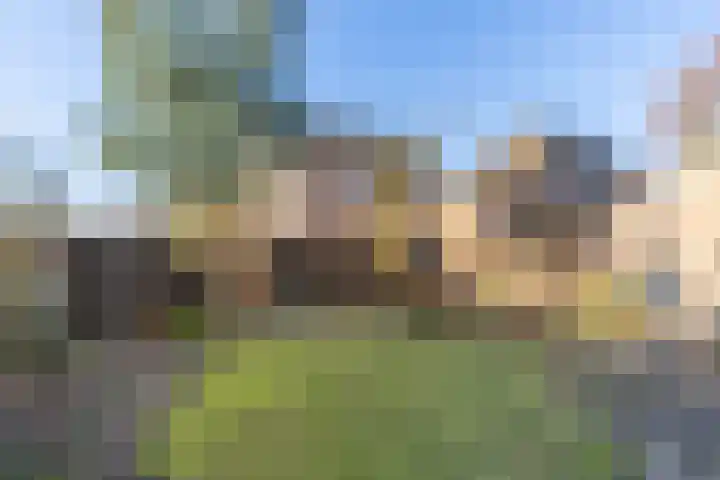 den Haak 5 Overloon thumbnail 9