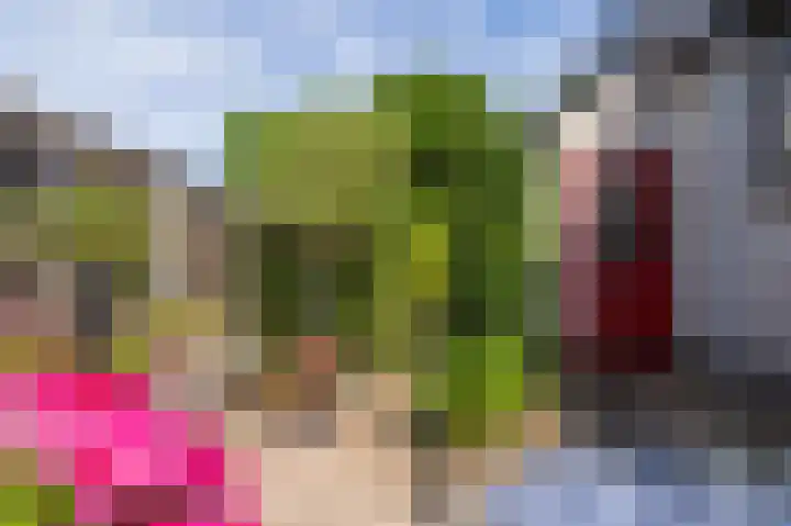 Den Ham 13 Boskoop thumbnail 12
