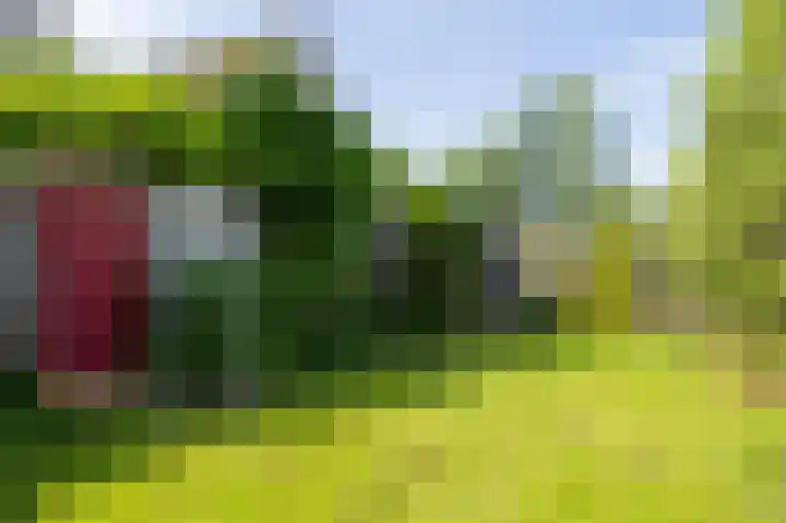 Den Ham 13 Boskoop thumbnail 16