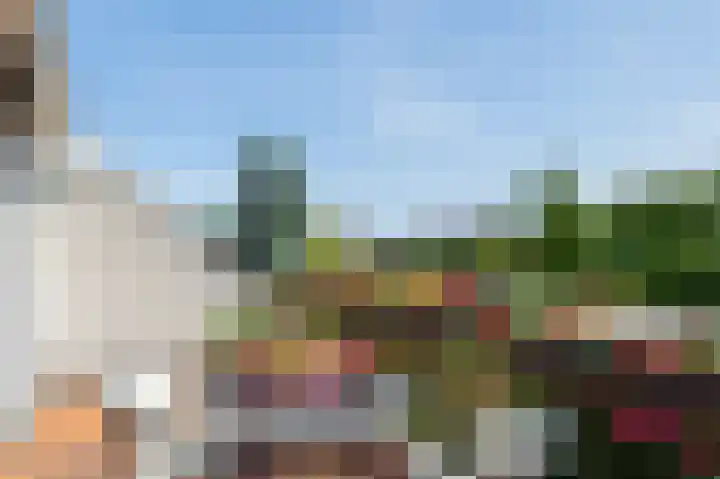 Den Ham 13 Boskoop thumbnail 25