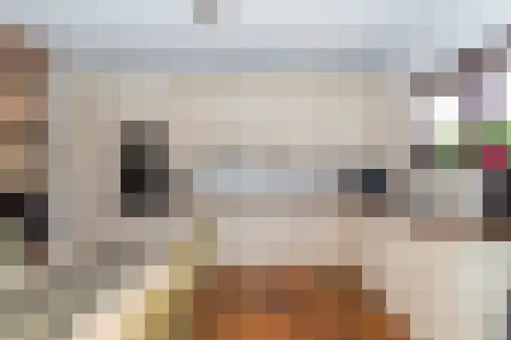 Den Ham 13 Boskoop thumbnail 28