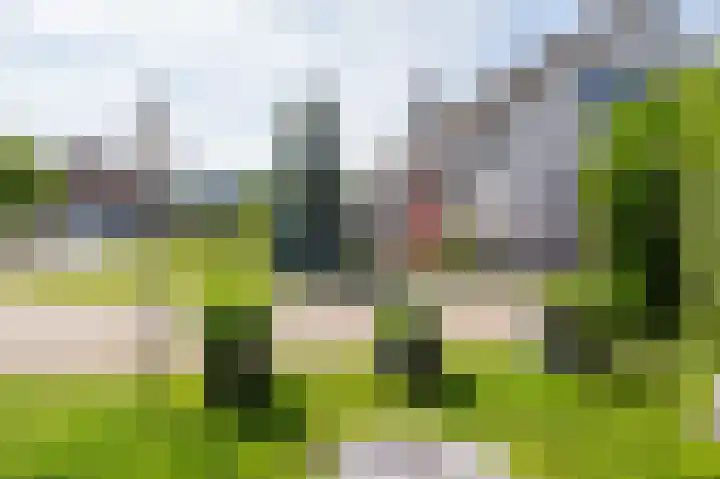 Den Ham 13 Boskoop thumbnail 43