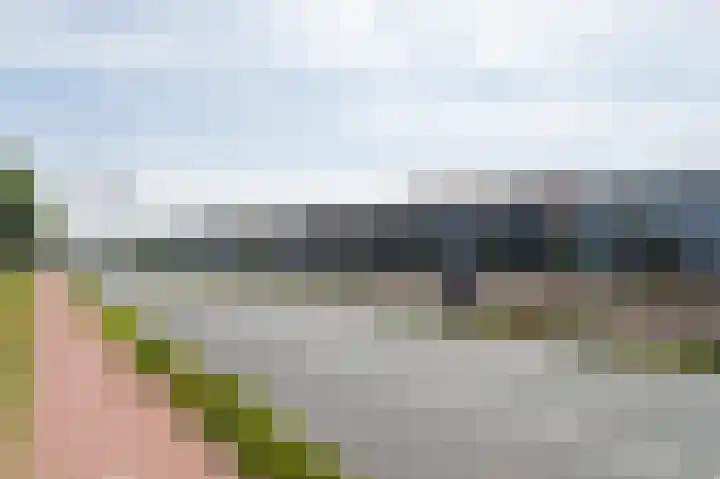 Den Ham 13 Boskoop thumbnail 45