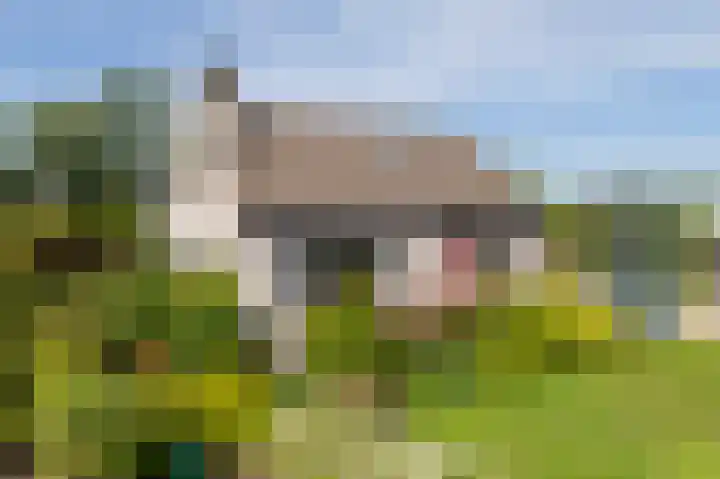 Den Ham 13 Boskoop thumbnail 5