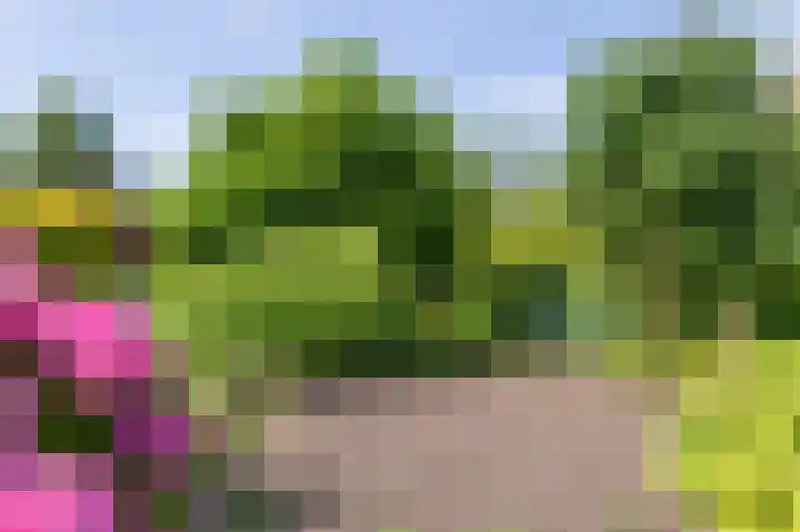 Den Ham 13 Boskoop thumbnail 8