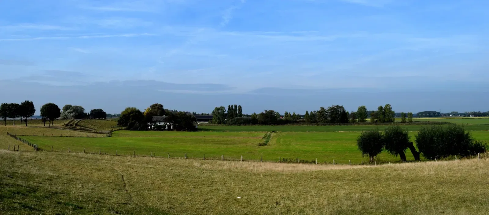 Team foto van Den Hartog Makelaardij
