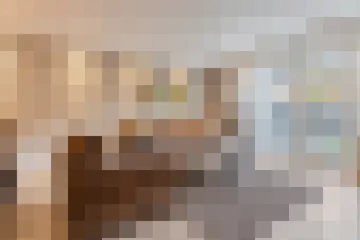 Den Herd 29 Geffen thumbnail 4