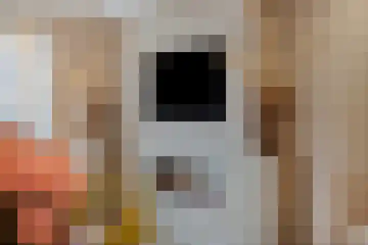 Den Herd 29 Geffen thumbnail 5