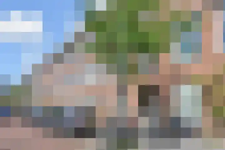 Den Herd 29 Geffen thumbnail 6