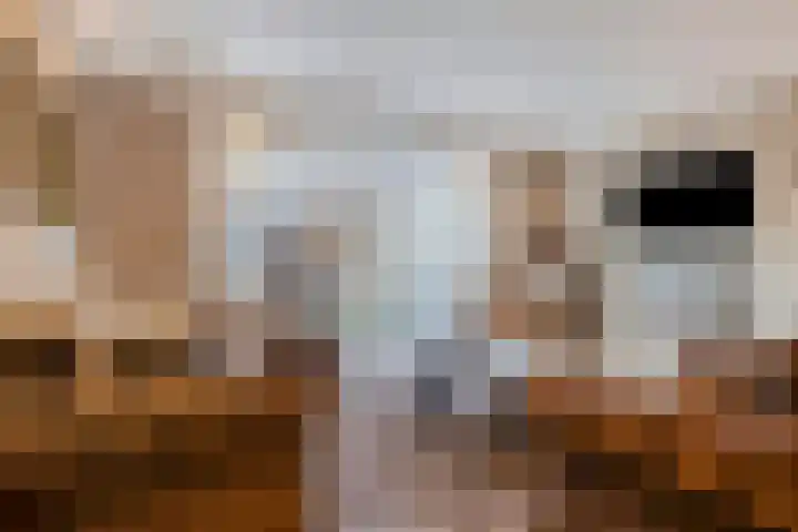 Den Herd 29 Geffen thumbnail 6