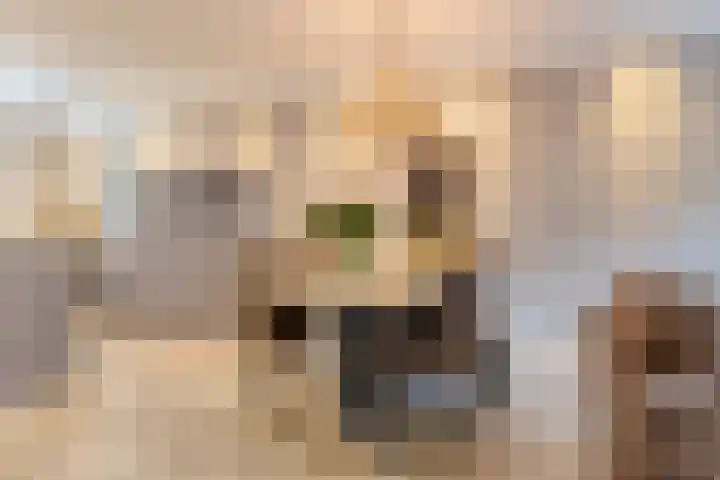 Den Herd 29 Geffen thumbnail 8