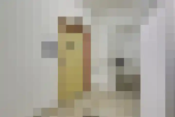 Den Heuvel 104 Velp thumbnail 10